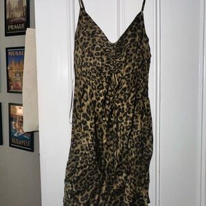 Leopard Print Zara Mini